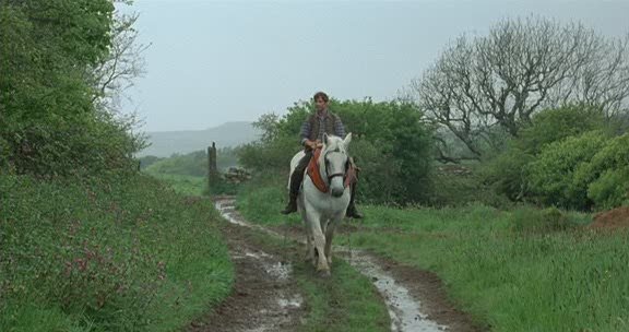 IPB Image