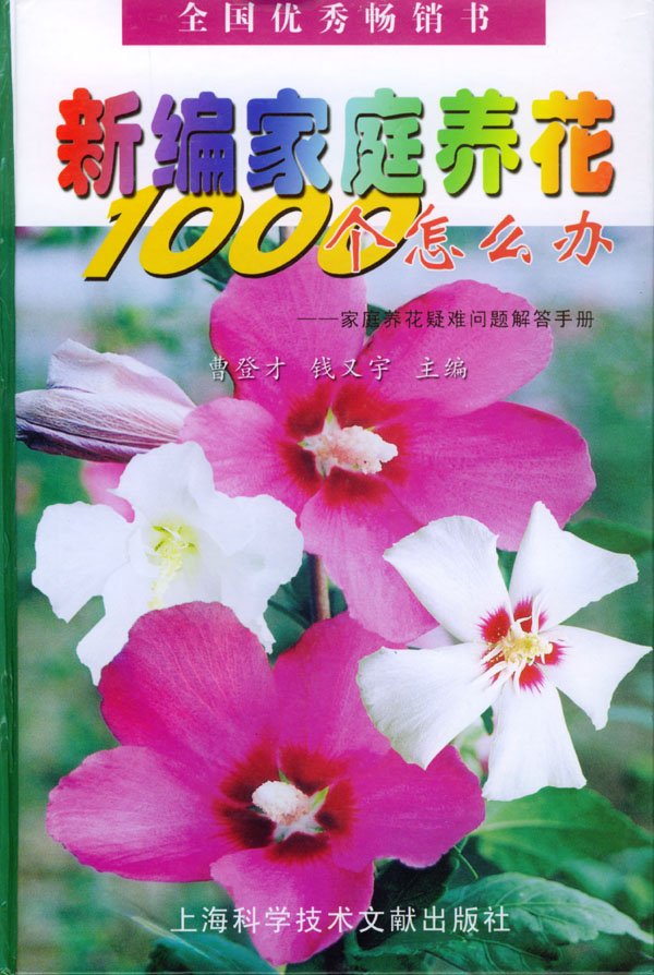 IPB Image